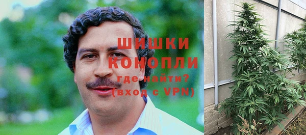 PSILOCYBIN Баксан