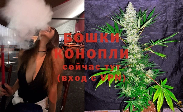 PSILOCYBIN Баксан