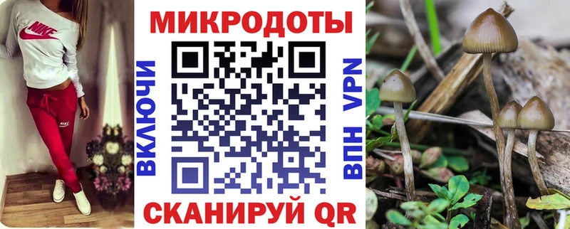 Галлюциногенные грибы Psilocybine cubensis  Новая Усмань 